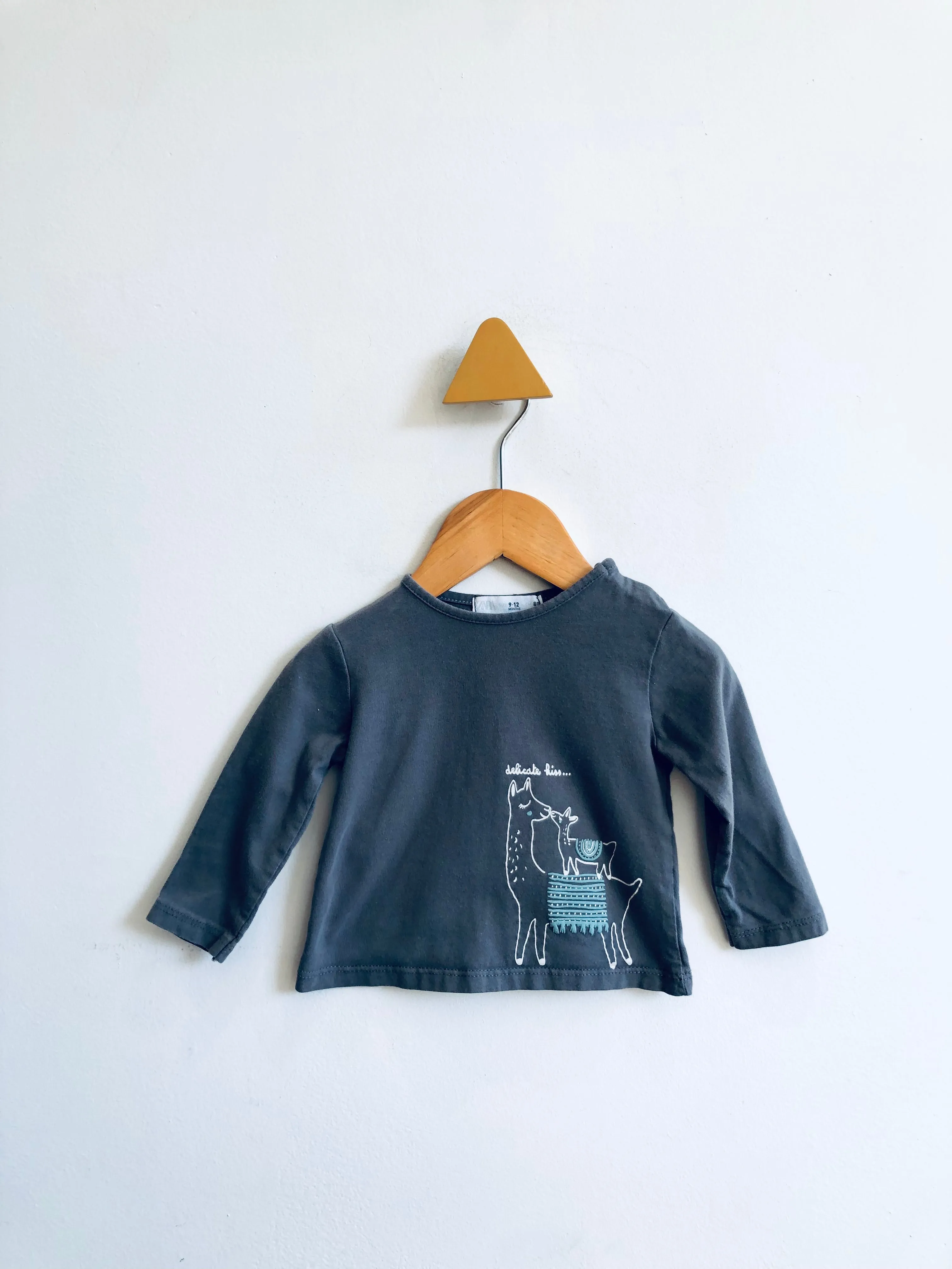‘Delicate Kiss’ Llama Top // 9-12M