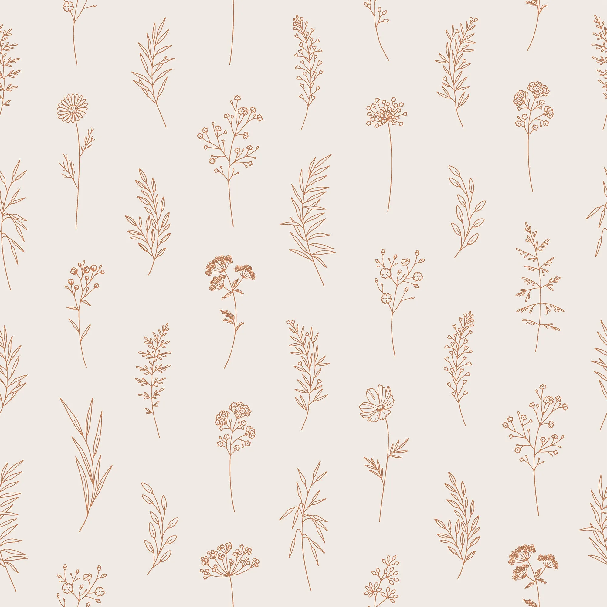Modern Botanical Wallpaper Peel and Stick – Thin Line Wildflowers