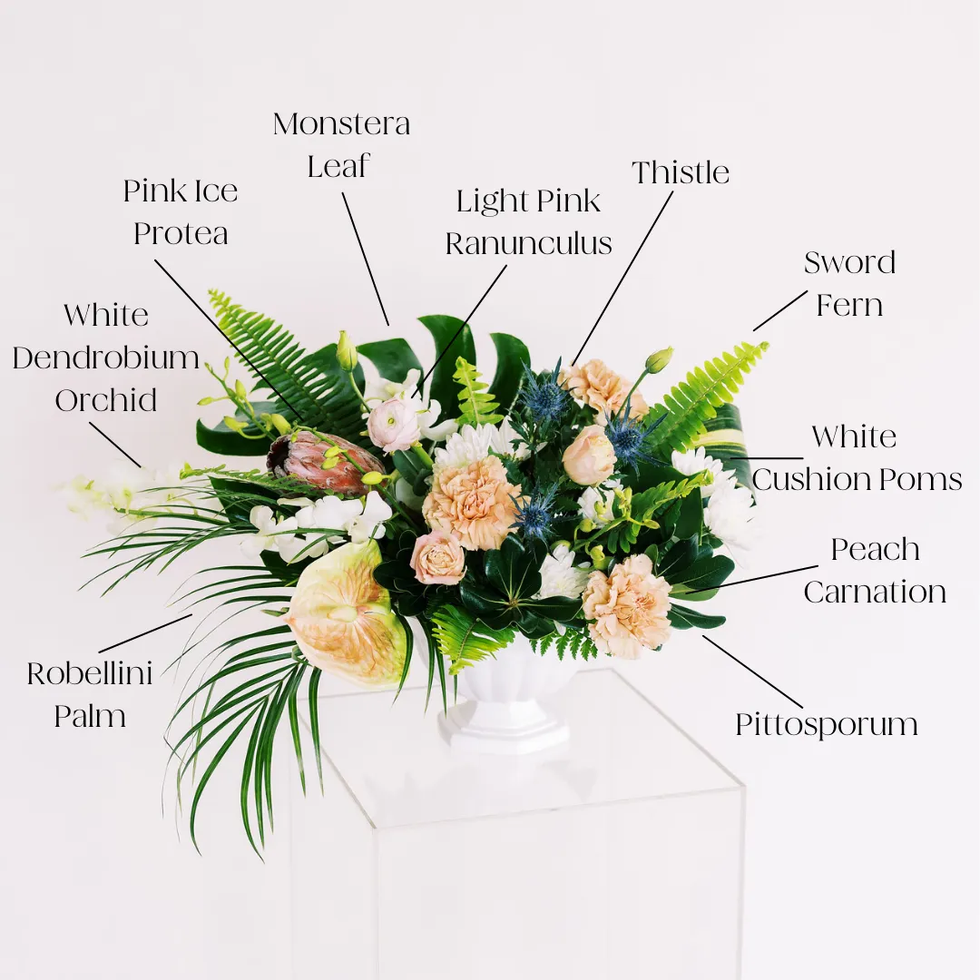 White Dendrobium Orchid Flower